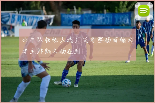 公牛队教练人选广泛考察杨百翰大学主帅凯文杨在列